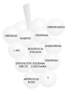 Síndrome Metabólico