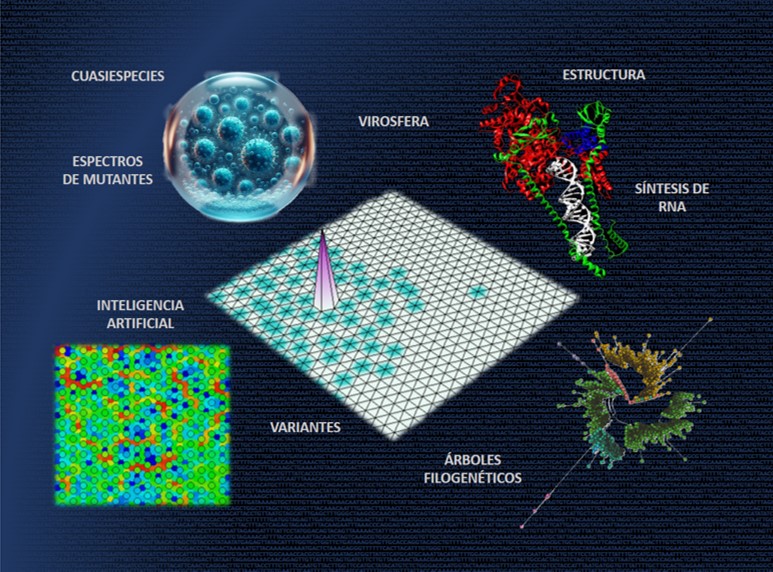 2024 02 29 Los mapas neuronales han servido para identificar mutaciones