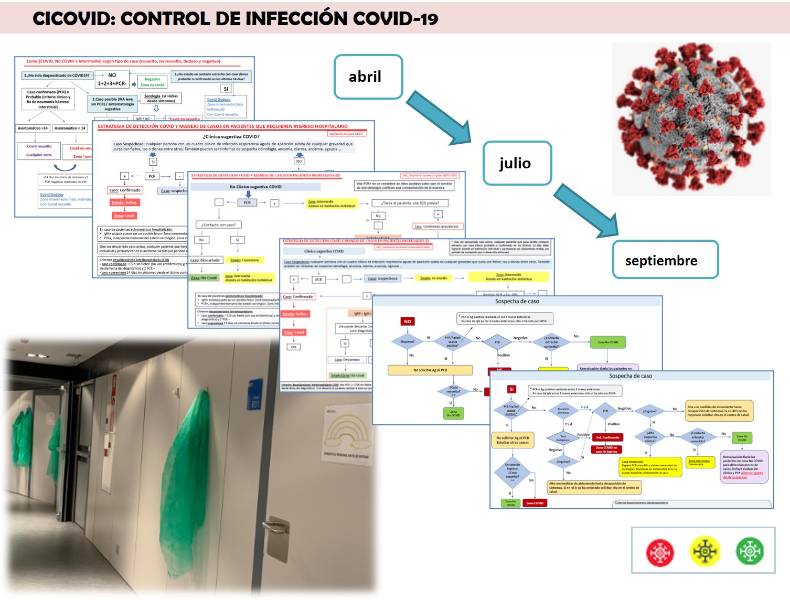 2021 01 18 Esquema del proyecto CICOVID