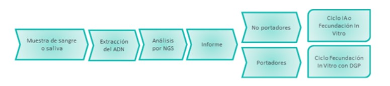 ¿Cuál es el procedimiento del test de compatibilidad genética?