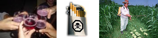 Toxicos