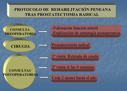 Gráfico protocolo