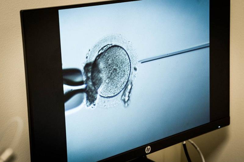Inyección Intracitoplasmática (ICSI)