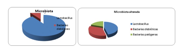 ¿Qué es el microbioma endometrial y la endometritis?