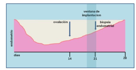 Test de receptividad endometrial