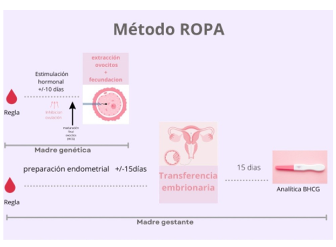 Método ROPA | Hospital Universitario Fundación Jiménez Díaz