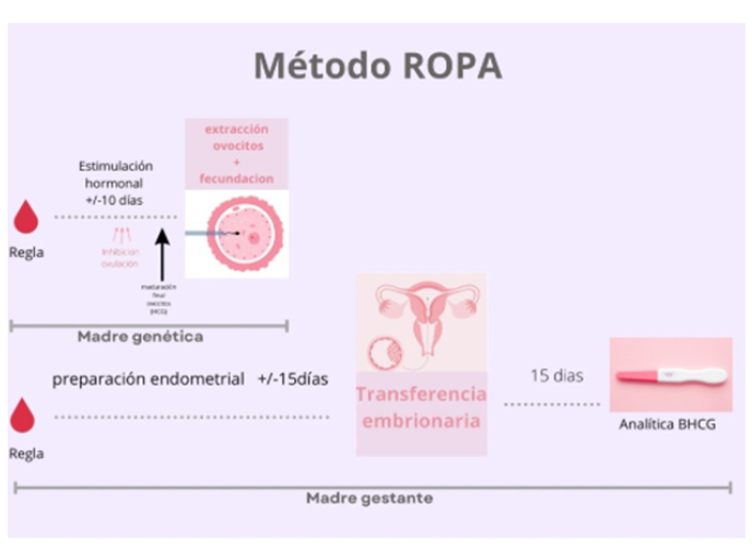Método Ropa