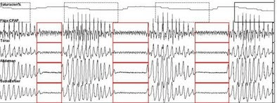 ciclos de respiración