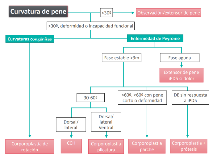 Captura1