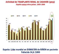Gráfico transplante renal cadáver