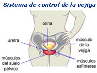 Control de la vejiga