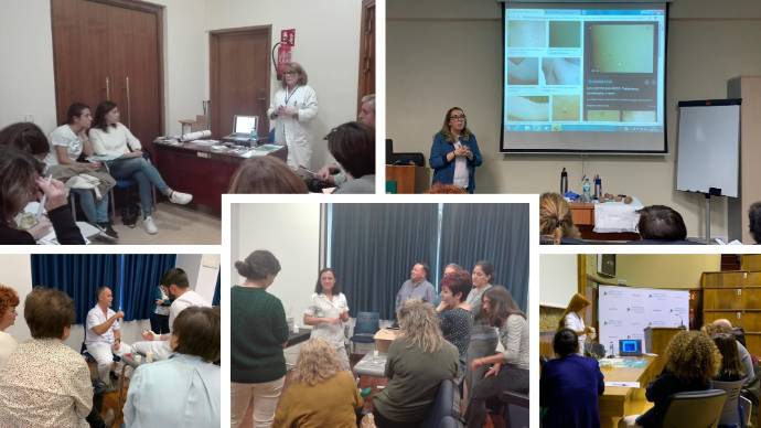 2019 11 14 Varios momentos de las sesiones del taller