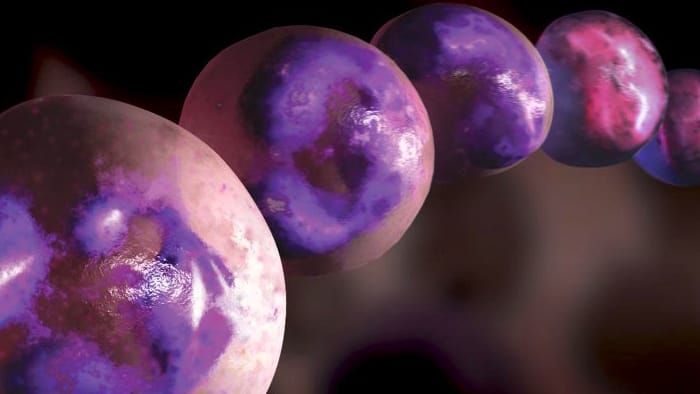 Células madre hematopoyéticas