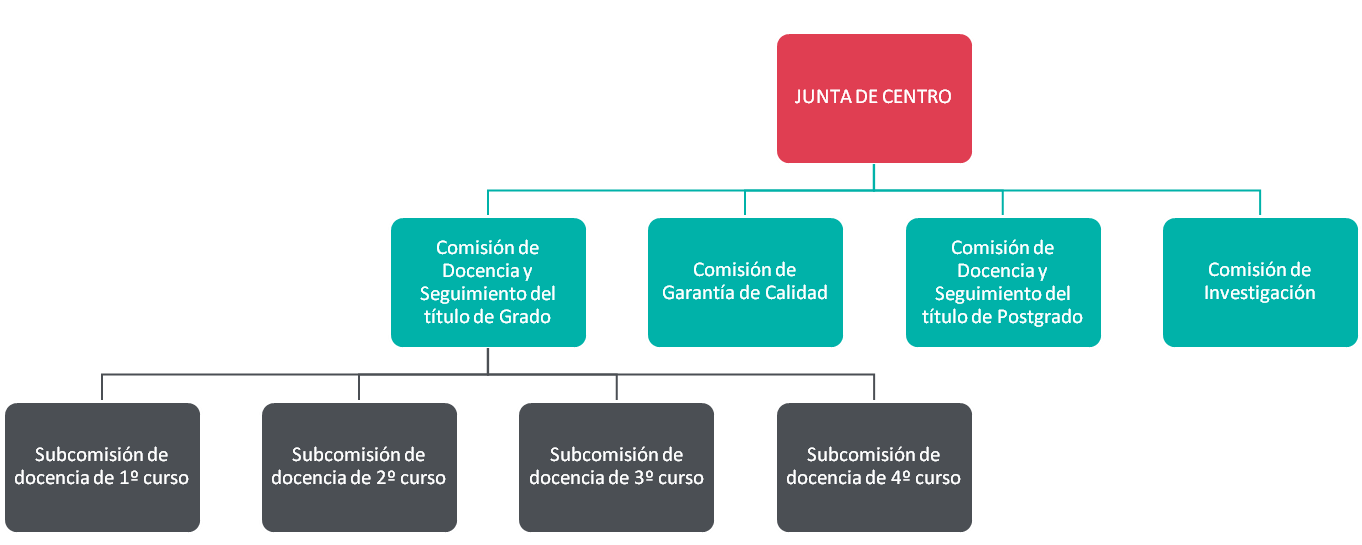 organización