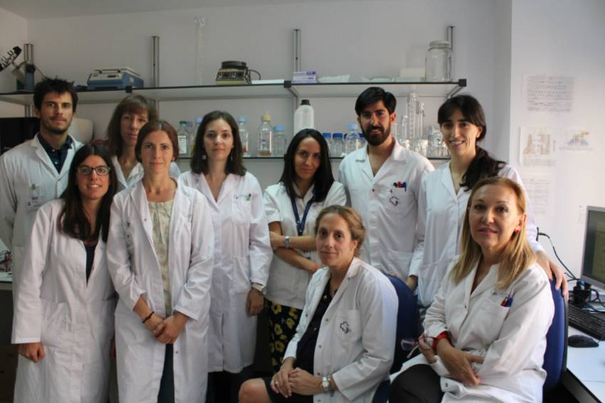 Equipo IIS-FJD