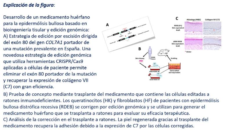 2020 05 07 Figura medicamento huérfano epidermolisis