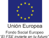 UE-FSE
