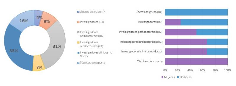 6.1.1-ANATOMIA-PERSP GÉNERO